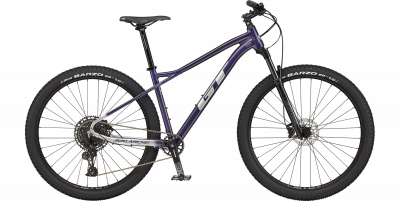 Avalanche Expert 29 - XC Sport - 